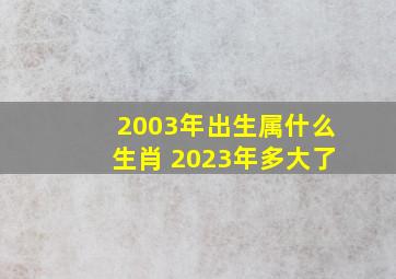 2003年出生属什么生肖 2023年多大了